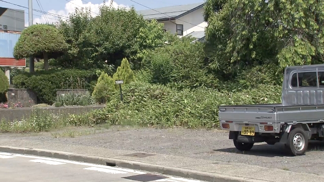 Woman seriously injured by bear in central Japan