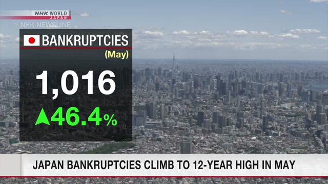 Japan bankruptcies climb to 12-year high in May