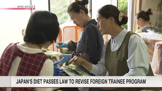 Japan's Diet enacts bill to replace foreign trainee program