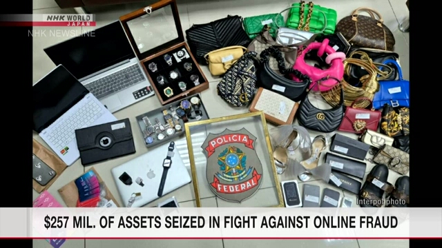 Interpol seizes over $250 mil. in assets in global crackdown on online scams