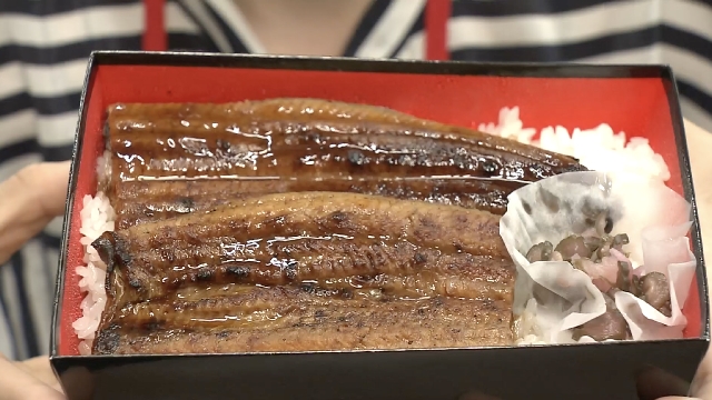 Japanese eels cultivated from eggs served at tasting event