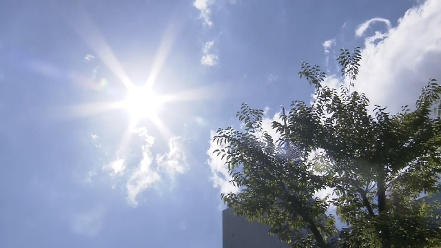 Severe heatwave continues in many part of Japan