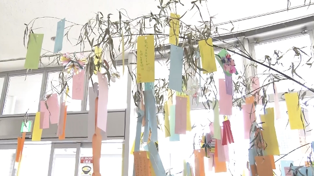 Japanese children write Star Festival wishes and tie them to bamboo