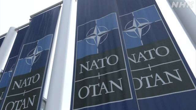 NATO, Indo-Pacific partners to enhance cooperation on areas such as cyberattacks