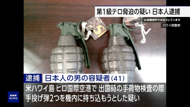 Japanese man arrested at Hawaii airport after grenades found in luggage