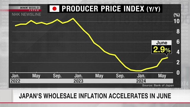 Japan's wholesale inflation accelerates in June