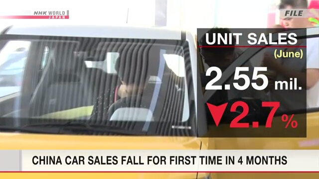 China car sales fall for first time in 4 months