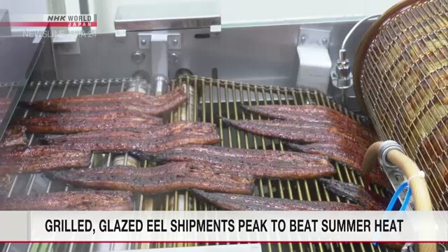 Grilled eel shipments peak in Japan to beat summer heat