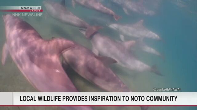 Dolphins a source of strength for Noto guesthouse owner