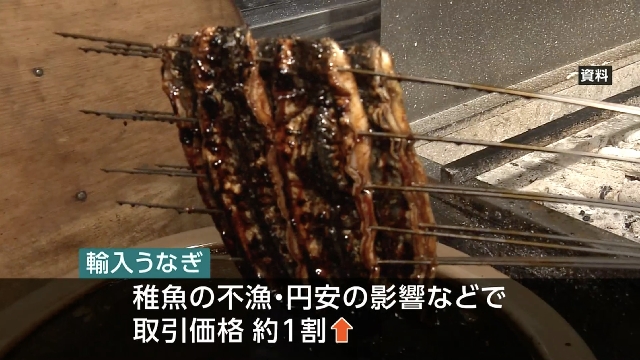 Japan's diners to pay more for heat-beating eel this summer