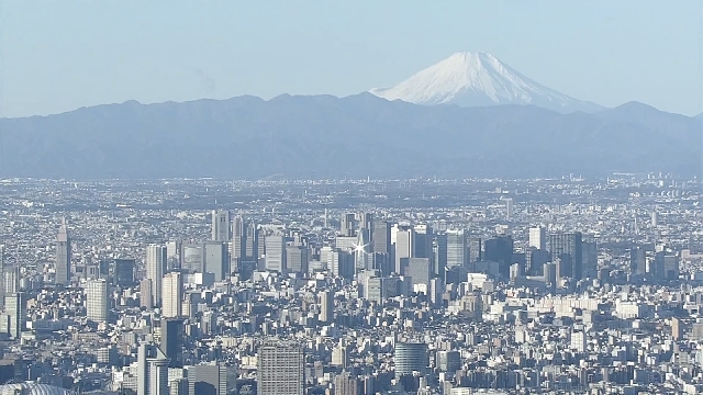 Fewer Tokyo condos for sale as costs crimp supply