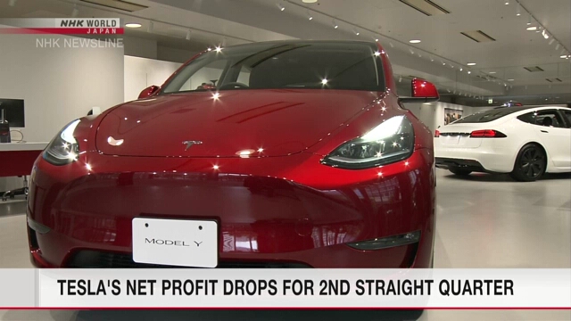 Tesla's net profit drops for 2nd straight quarter