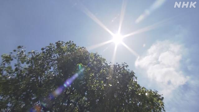 Many parts of Japan remain in grip of hot spell