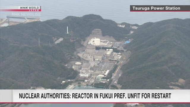 Nuclear secretariat says Tsuruga No.2 reactor not fit for restart