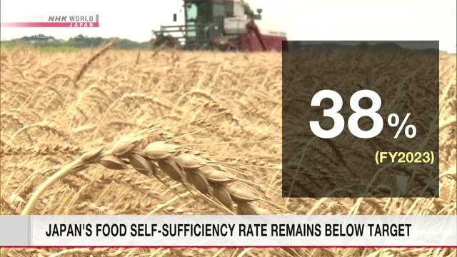 Japan's food self-sufficiency rate remains below target