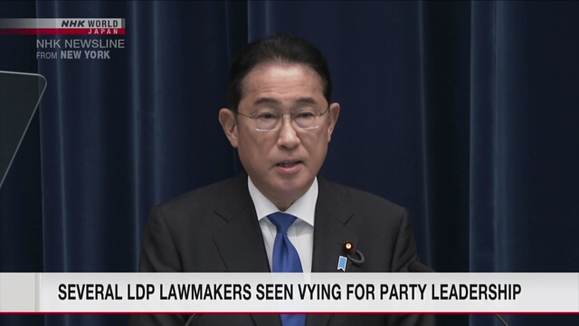 Several lawmakers in Japan's ruling LDP seen vying for party presidency