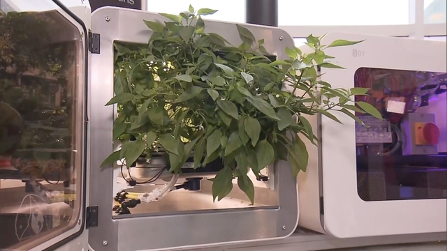 NASA holds contest to pioneer Mars food technologies