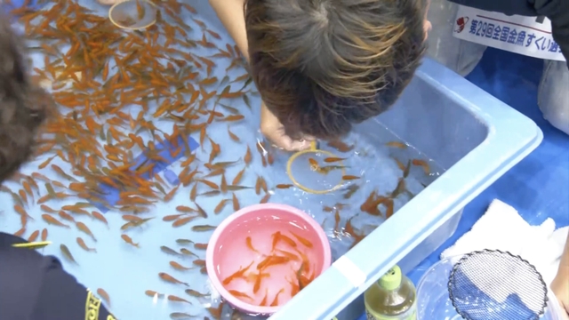 Goldfish scoopers compete in western Japan