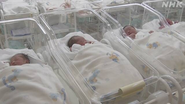 Japan births hit record low in first half of 2024