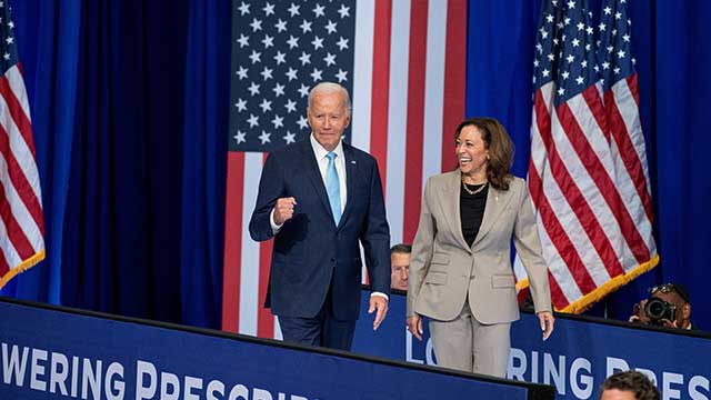 US Democratic Party 2024 Platform Reaffirms US Commitment to Allies 