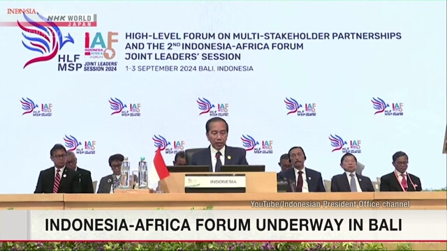 Indonesia-Africa Forum underway in Bali