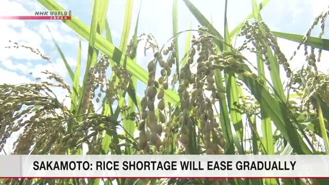 Typhoon Shanshan's impact on Japan rice output seen limited