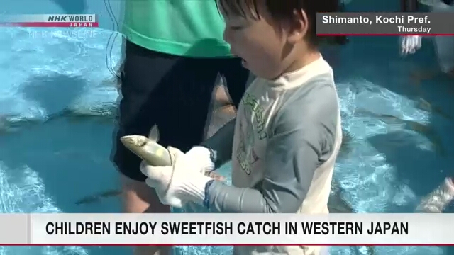 Children enjoy sweetfish-catching event in western Japan