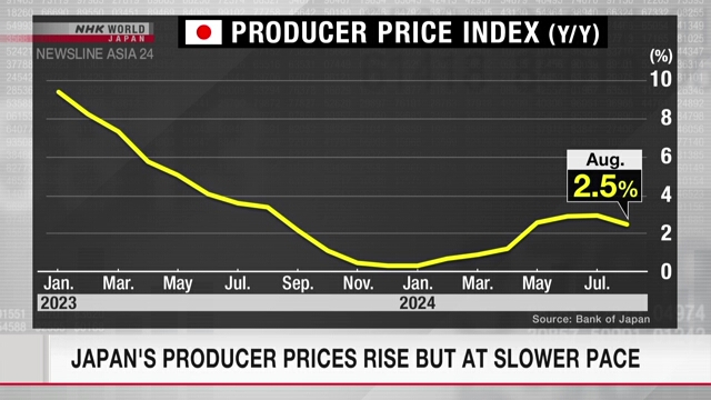 Japan's producer prices rise in August but at slower pace