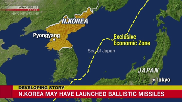 Japan checking on N.Korean launch