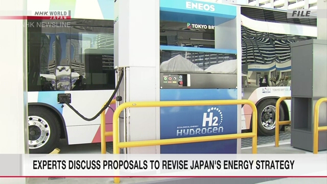 Experts discuss proposals to revise Japan's energy strategy