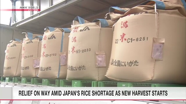 Relief on way amid Japan's rice shortage as new harvest starts