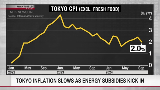 Tokyo inflation slows as energy subsidies kick in