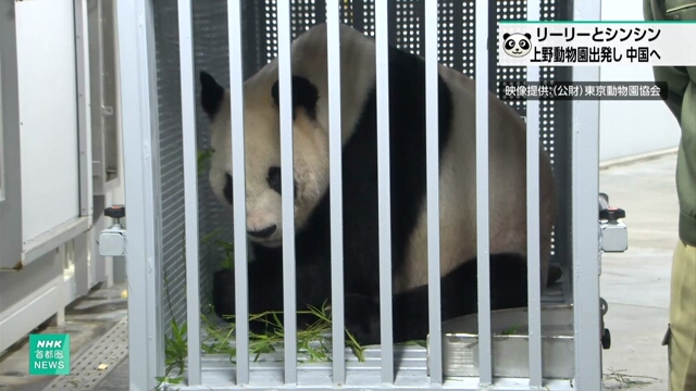 Pair of giant pandas at Tokyo zoo depart for China