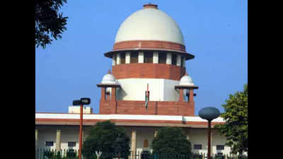 Supreme court: Farm fires violation of fundamental right to healthy environment