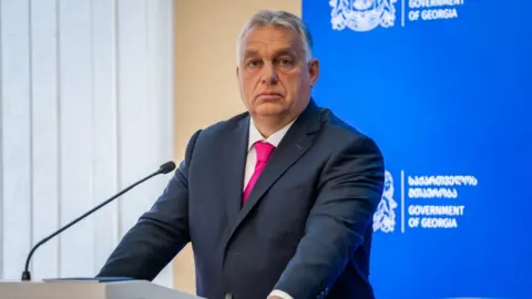 Matthew Goddard/BBC Hungarian PM Viktor Orban gave Georgia's increasingly authoritarian government a big boost 