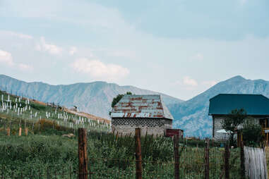 bosnian graveyard