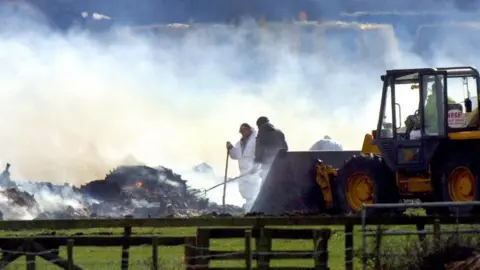 Getty Images Livestock being burned on a pyre during the 2001 foot and mouth outbreak. Smoke rising from fires watched by man in white hazmat suit and another man, standing next to a tractor