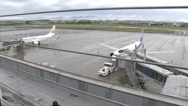 Flights resume at Miyazaki Airport following blast on taxiway