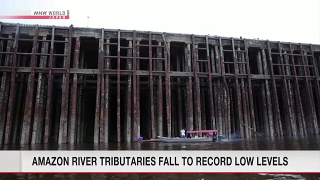 Amazon River tributaries fall to record low levels