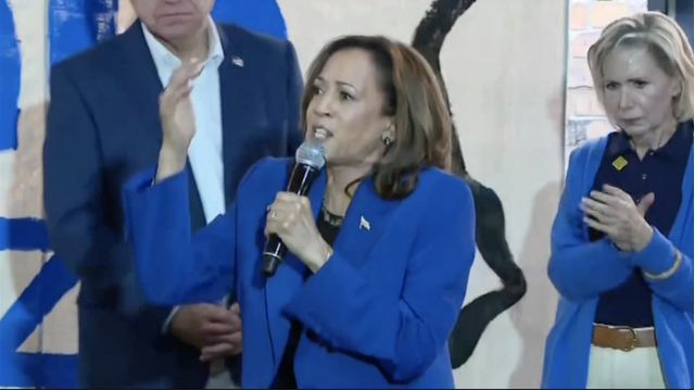 Harris pledges to boost manufacturing at rally in swing state Michigan