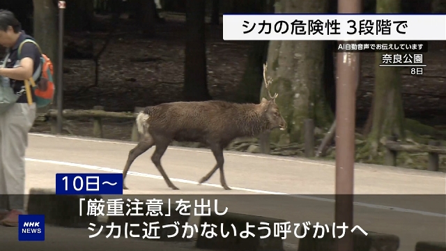 Nara deer conservation group to issue advisories to help keep visitors safe