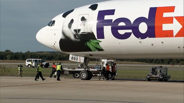 Two giant pandas from China arrive in US capital