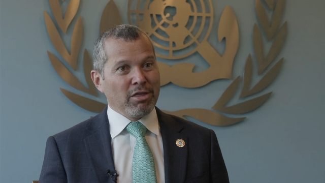 Head of UN agency for shipping expresses hope for decarbonization by 2050