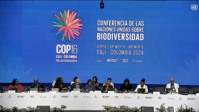 UN biological diversity conference opens in Colombia