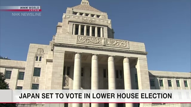 Japan set to vote in Lower House election