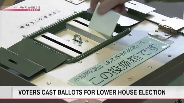 Voters cast ballots for Lower House election