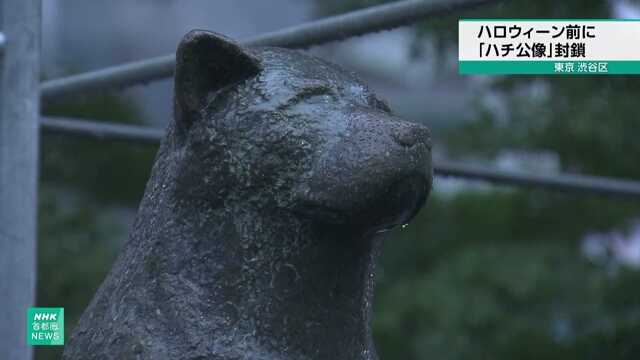 Shibuya's Hachiko dog statue covered for Halloween