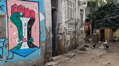 EPA Street art in Cairo shows a raised fist painted in the green, white, red and black colours of the Palestinian flag in solidarity with Gaza. Buildings on the small, dirt-track street appear to be in bad repair. In the background are few chickens.