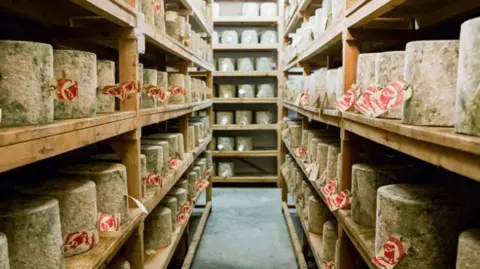 Neal's Yard Dairy Shelves stocked with truckles of cheese at Neal's Yard