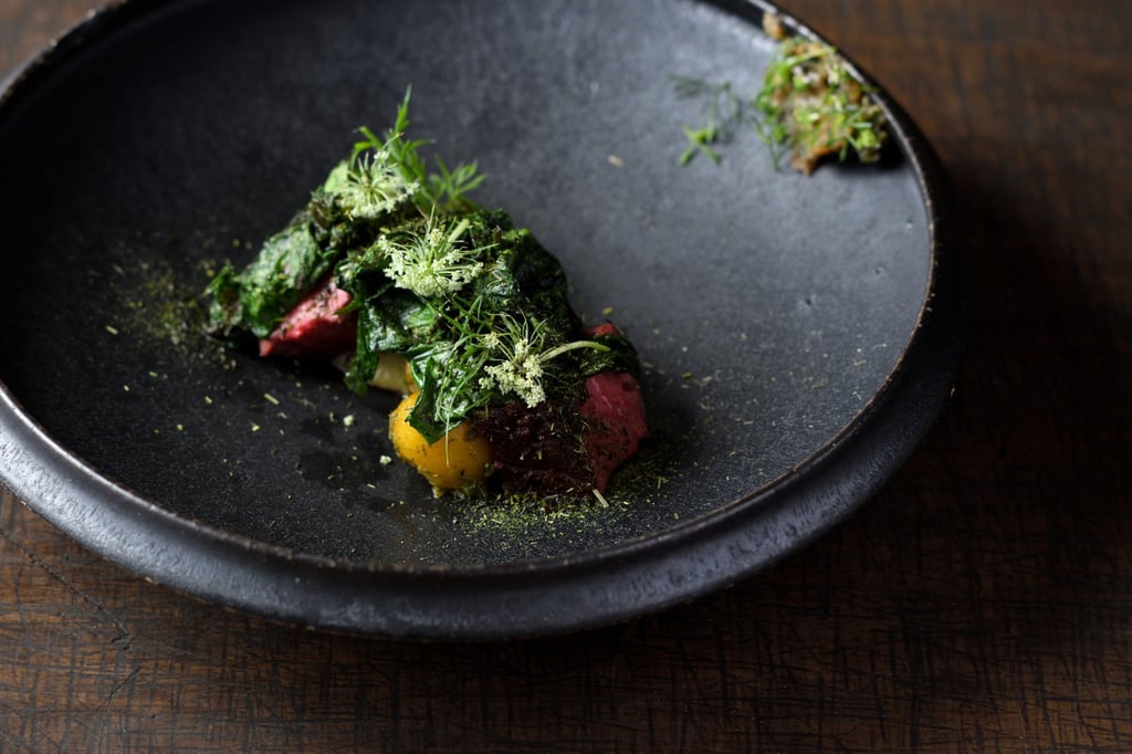 A dish at Sanaburi at the Satoyama Jujo luxury ecolodge in Minami-uonuma, where chef Keiko Kuwakino’s menu celebrates the region’s 72 micro seasons. Photo: Sanaburi